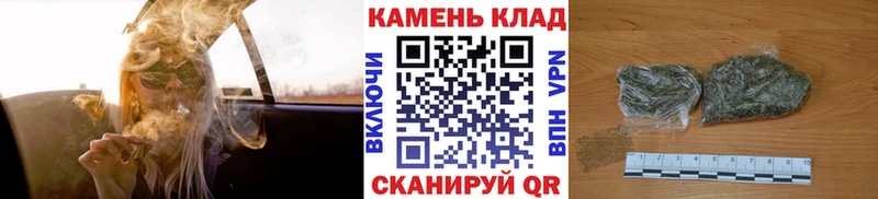 купить наркоту  Будённовск  ГАШИШ Изолятор 
