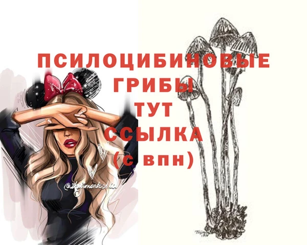 хмурый Балабаново