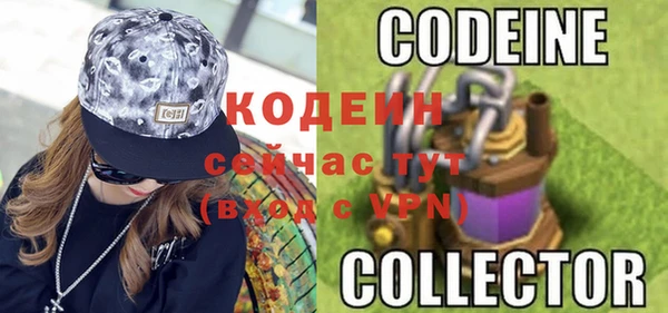 apvp Богородск