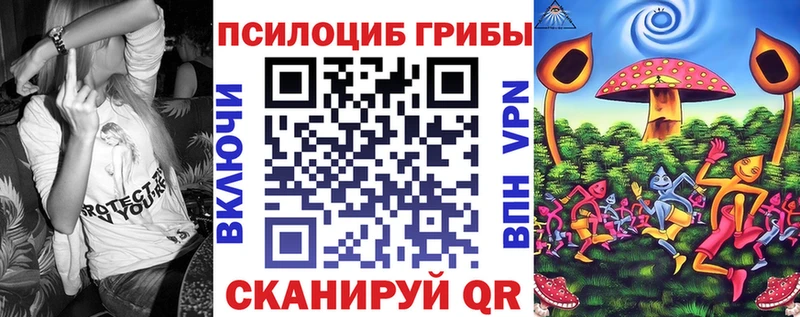 Галлюциногенные грибы Cubensis площадка клад Будённовск